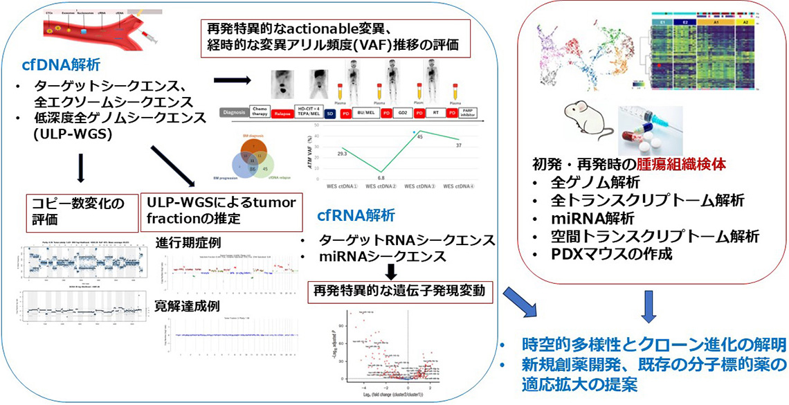 リキッドバイオプシーと組織検体の統合解析