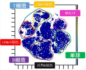 最新マスサイトメトリーを用いた解析