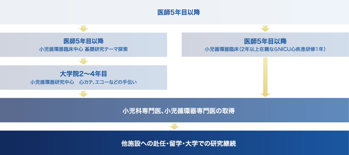 キャリアアッププラン